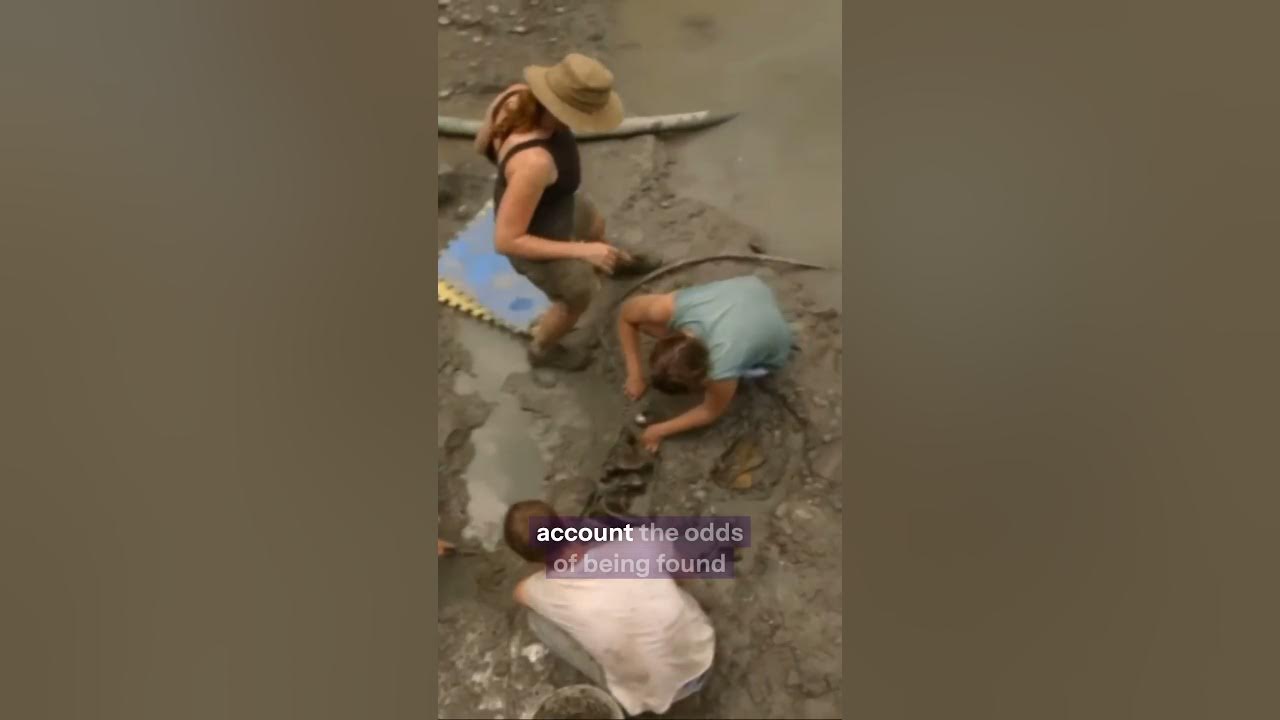 The Shocking Truth Behind the Rarest Fossils You've Never Seen! YouTube
