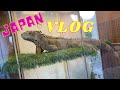 ЯПОНИЯ/Д.Р. РЕЙМИ/МОРКОВНЫЙ ПИРОГ/ В ГОСТЯХ У ДРУЗЕЙ/JAPAN VLOG/ ВЛОГ О ЯПОНИИ