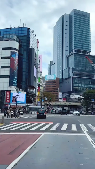 Tokyo 🇯🇵 #drive #japan #tokyo #4kworld #japanese #shorts #youtube #japanese #travel #fypシ #driver