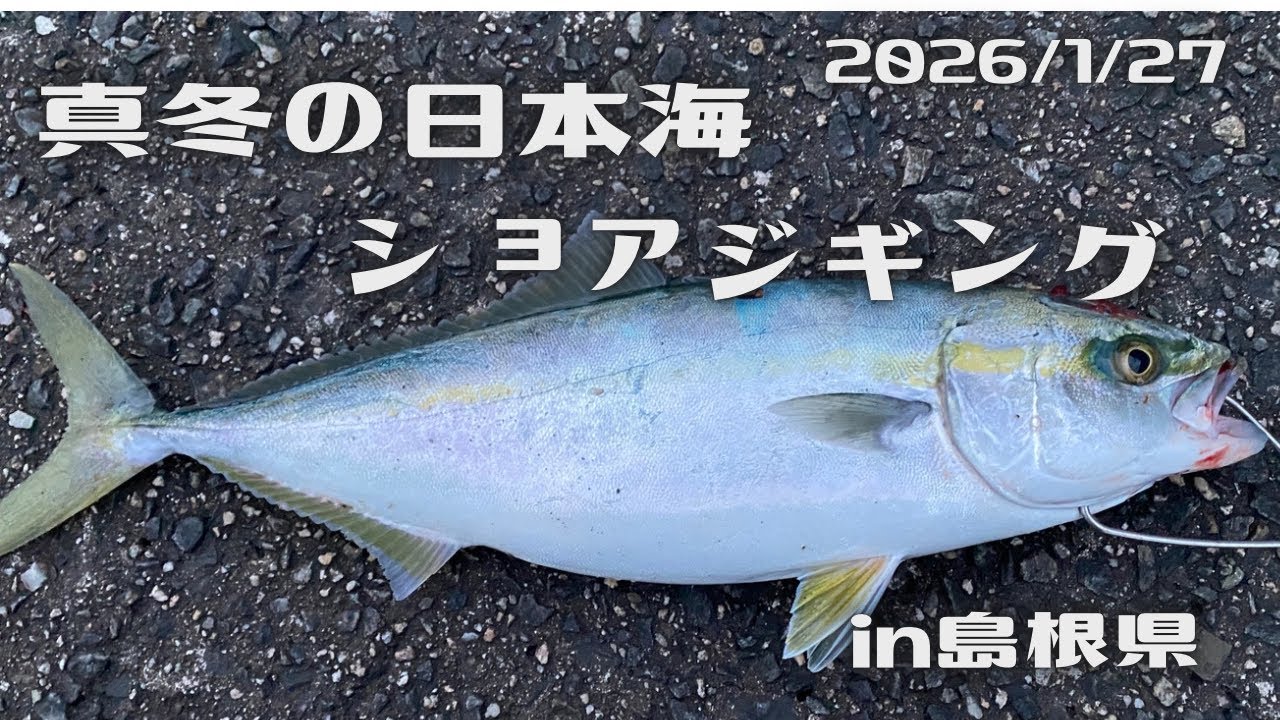 2026/1/27  真冬のショアジギング〜島根県〜