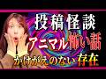 【投稿怪談】女性のいた場所に置かれた◯◯/感涙!わんちゃんの不思議な話