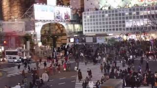 Shibuya Scramble Crossing | 시부야 스크램블 | 20160315