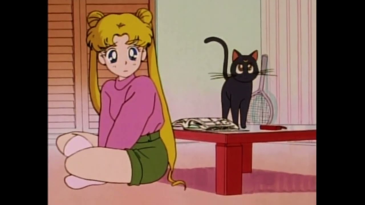 You need to know more about the world. | Sailor Moon [Dic Dub] - YouTube