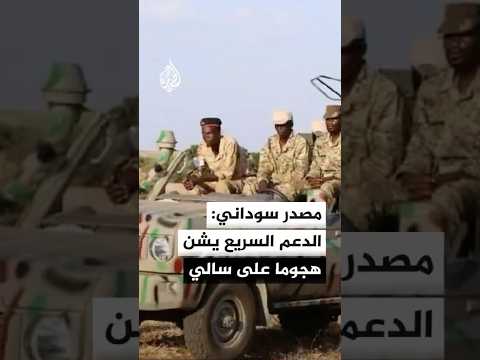 مصدر في الجيش السوداني: قوات الدعم السريع شنت هجوما على مدينة سالي الخاضعة لسيطرة الجيش بإقليم النيل