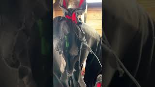 2009 Lowes Reaper  Ultra Rare