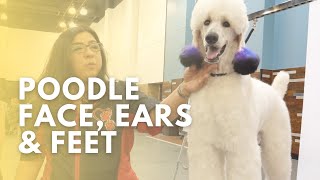 Poodle Face, Ears & Feet by GroomerTV 10,171 views 2 years ago 18 minutes