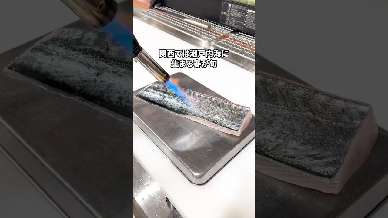 鰆食べたことありますか？👀