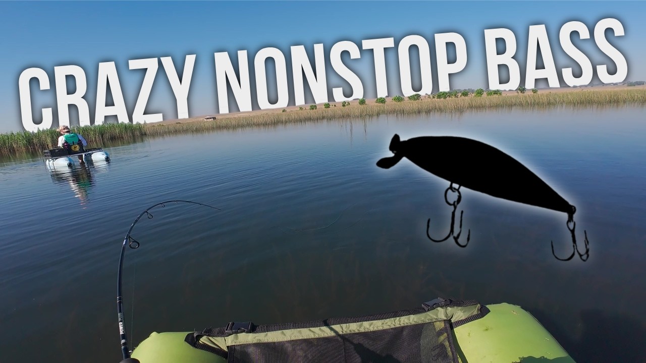 Bass Went CRAZY for this Lure! | Float Tube Fishing (Thabo's Dam)