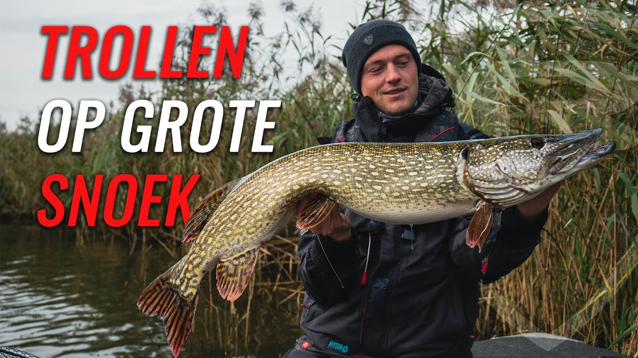 Trollen op grote snoek - Koen Verheyen