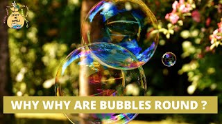 WHY WHY ARE BUBBLES ROUND 