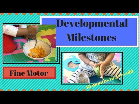 Developmental Milestones| Fine motor Development checklist for18 months-2yrs old| Toddler growth.