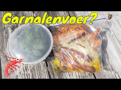 How To: ZELF Garnalenvoer Maken