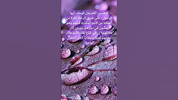 سورة طه ايه ١٢٨