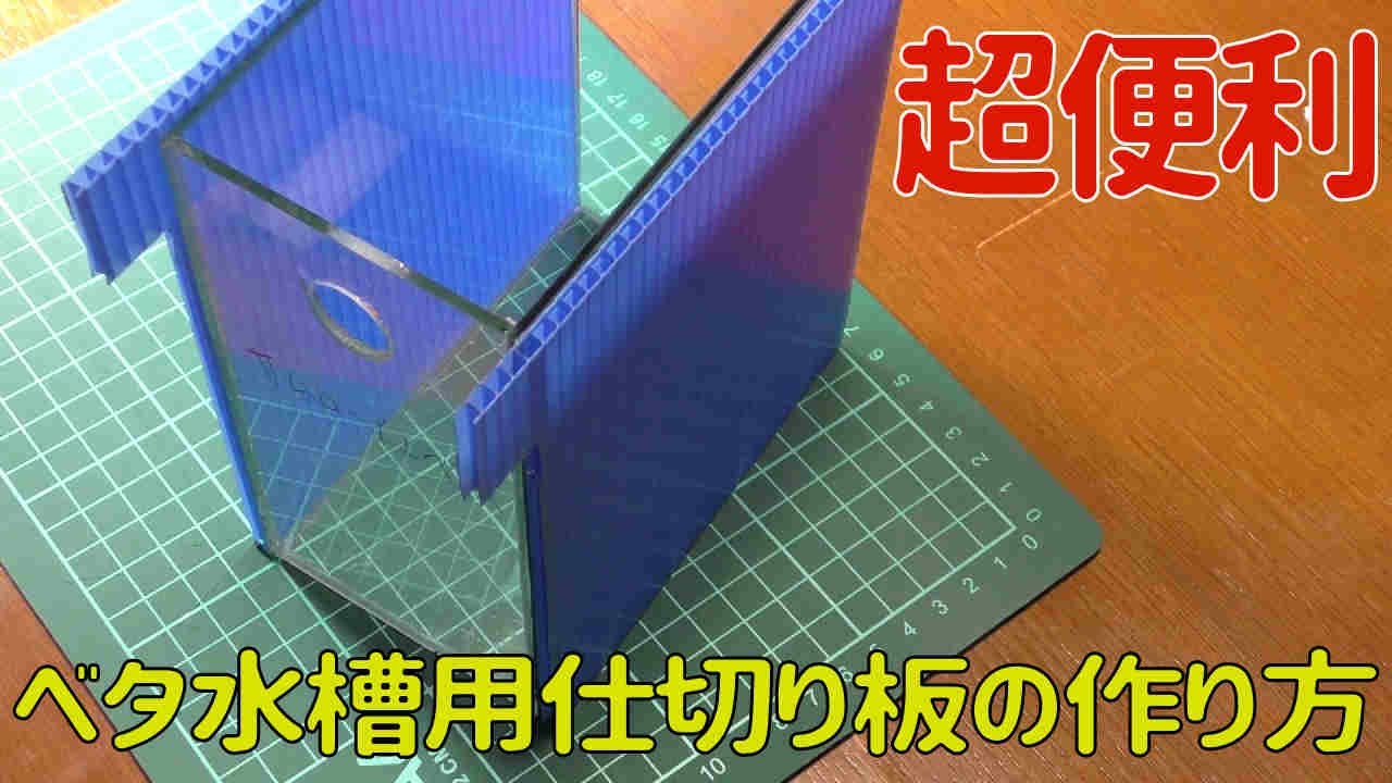 ベタ水槽用仕切り板の作り方 アクアリウム Youtube