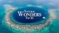 The Wonder of the Natural World: Exploring the Beauty and Complexity of Our Planet ile ilgili video