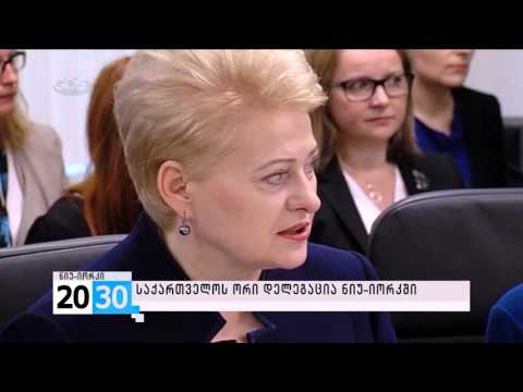 პირველი ნაწილი /2030 (29.09.2015.)/