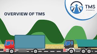 TMS Dynamics System Overview