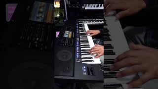 Fr Elise  Ludwig Van Beethoven Cover New Yamaha Sx920 cubanojimenez shorts