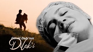 Gönül Dağı Dilek’in Ölümü | Kül