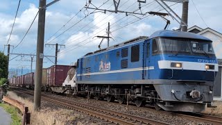 1071ﾚ EF210-137号機牽引貨物列車(下り)上地新道踏切通過