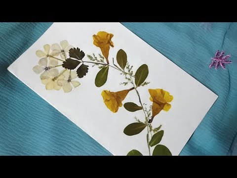 Dry Flower Art Greeting Card Making / Tutorial / DIY