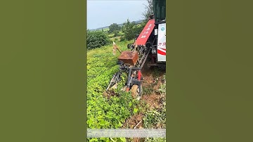 Harvesting peanuts – better tools and machinery make the work more efficient