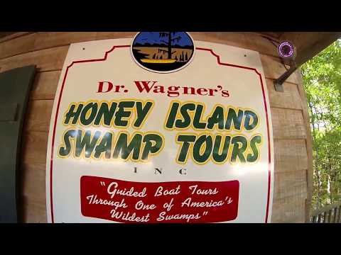 Video Dr Wagner'S Honey Island Swamp Tour Reviews