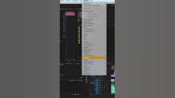 Transcripts in Premiere Pro?