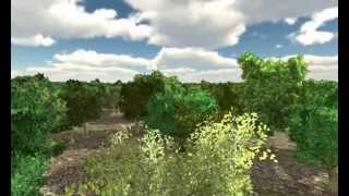 Unity 3d : Speed Forest ULS LOD Trees Expansion