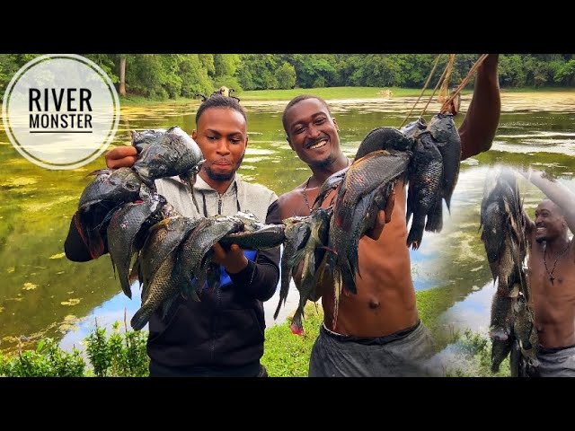 Slingshot spearfishing for river monster cook up fry fish Ñ
