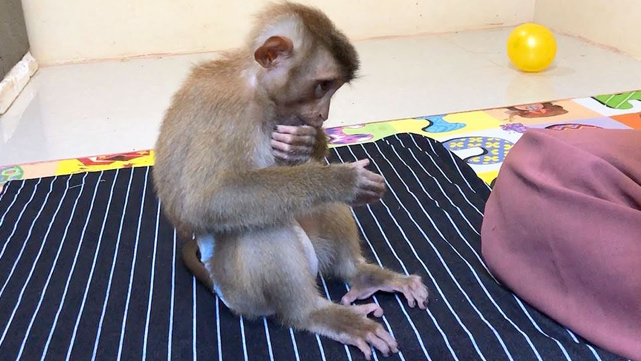 Jason Innocent Acting Sculpture Wait Milk Politely After Wake Up