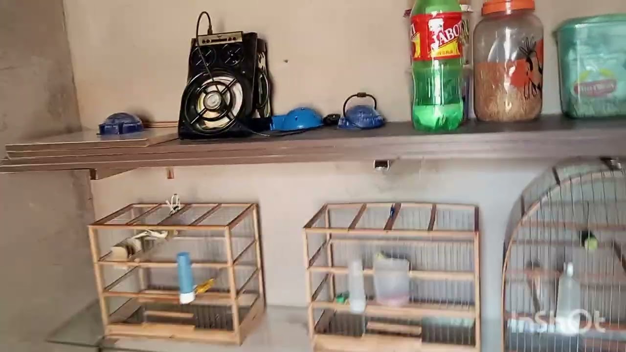 esperando a próxima temporada de reprodução 