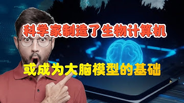 人脑类器官：实验室里的微型大脑，能否成为未来的生物计算机？
