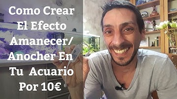 🔵 Como Crear El Efecto Amanecer/Anochecer En Tu Acuario Por 10€,Controlador Wifi Led Magic Home Pro
