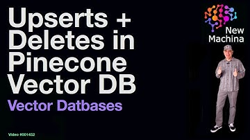 Upserts + Deletes in Pinecone Vector DB