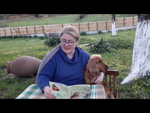 ირინეს ზღაპრები