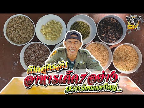 เปิดสูตรลับอาหารเด็ด7อย่าง | SK ฟาร์มนกเขาใหญ่