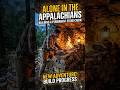 Alone in the Appalachians: Building a Permanent Stone Cabinis | Secret shelter