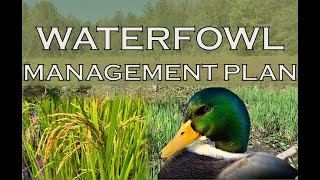 Creating a Waterfowl Management Plan| MUST WATCH for Land Owners screenshot 5