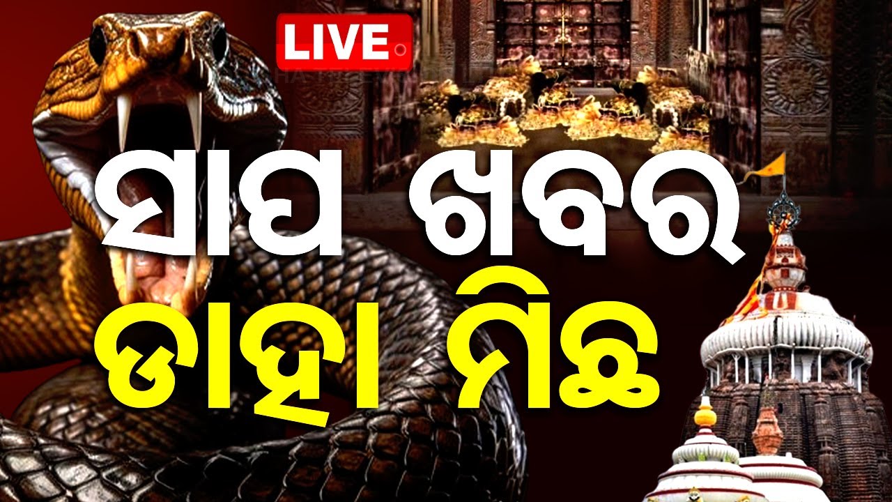 Live | ସାପ ଖବର ଡାହା ମିଛ | Puri Srimandir Ratnabhanadar Opening
