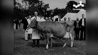 Holiday Parade 4 : Glorious Guernsey - 1966
