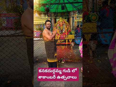 The Annual Shakambhari Festival At Kanakadurgamma Temple Indrakeeladri  Vijayawada || #shorts