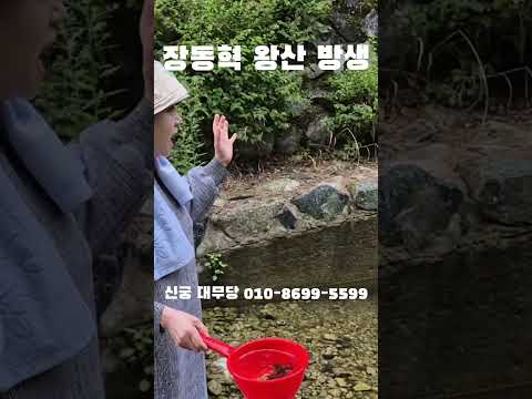 신궁 대무당 "장동혁 <strong>왕산</strong> 방생때 일어난 일" ㄷㄷㄷ #웃긴짤