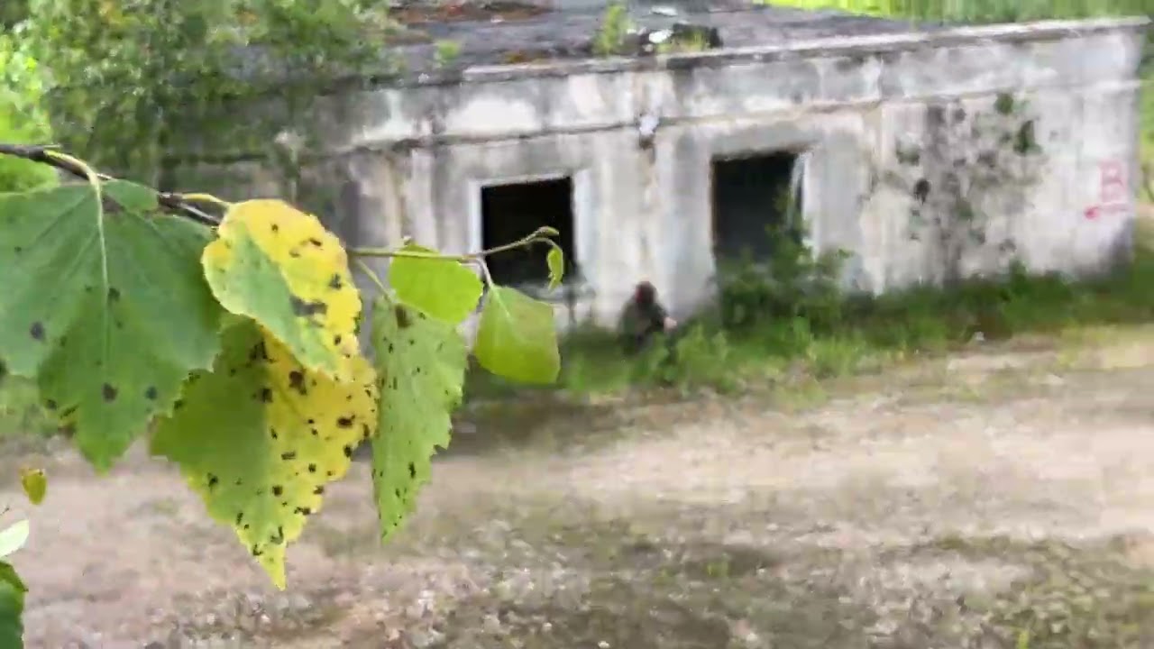 Counter strike (страйкбол) 22.06.25 (4)