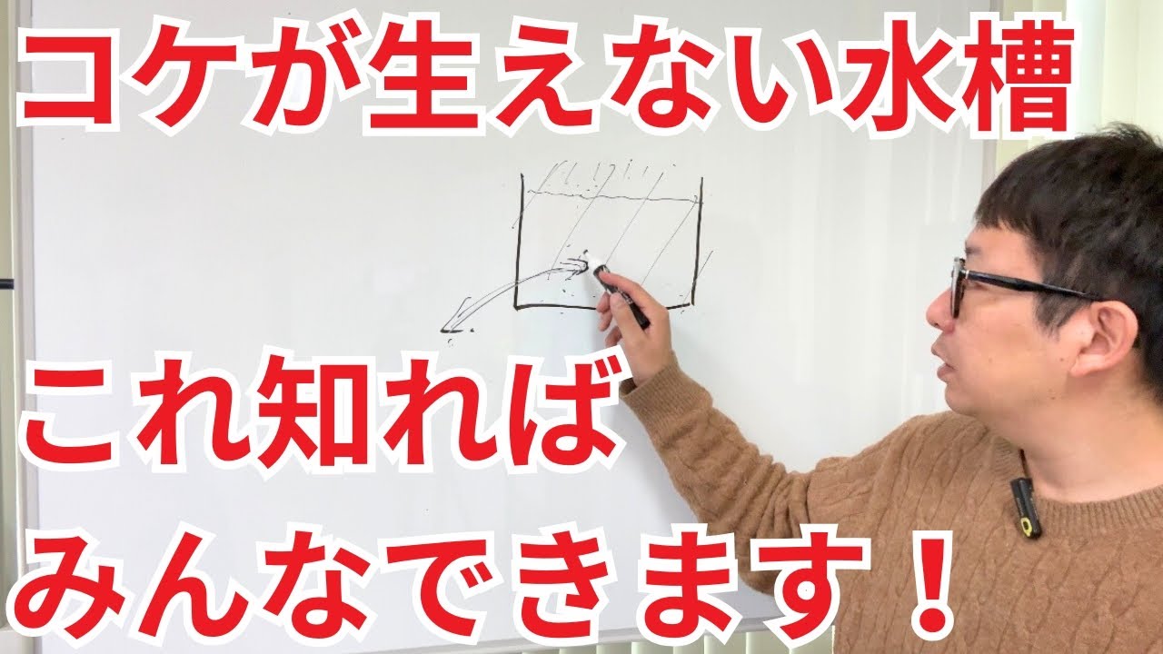 【これで解決】水槽のコケや汚れで困っている方は、これが原因です
