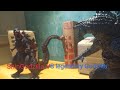 ShinGodzilla Vs LegendaryGodzilla (stop motion)