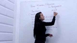 Reino monera e reino protista