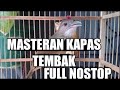 Masteran Burung Kapas Tembak Gacor Rapat Ampuh Bikin Emosi Untuk Kapas Tembak Agar Buka Ekor Mp3 - Mp4 Download