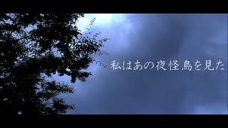 私はあの夜怪鳥を見た