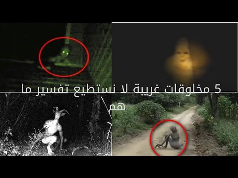 شاهد 5 مخلوقات غريبة لا نستطيع تفسير ما هم